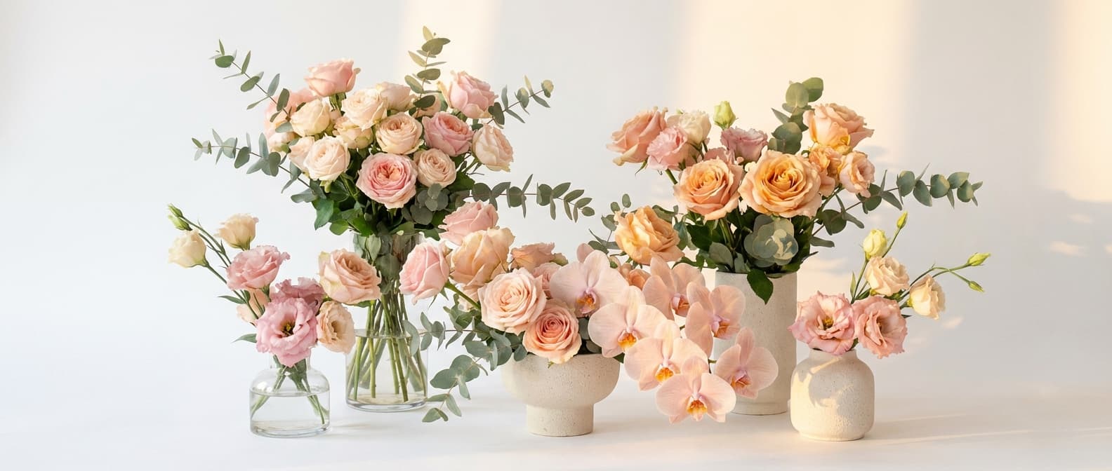 더화환 신규 회원 혜택