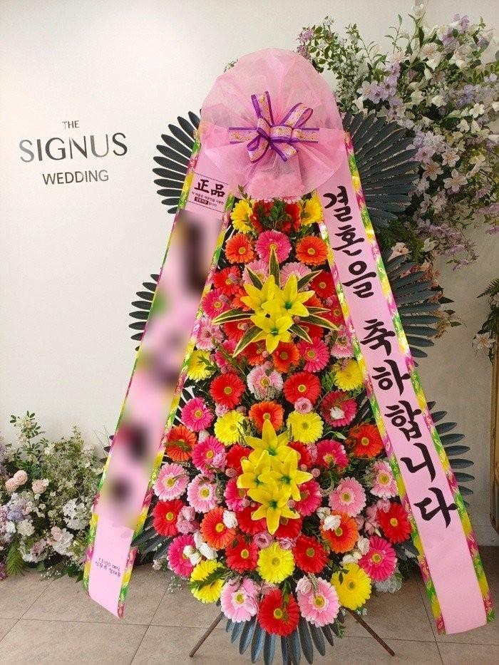 축하 3단화환 기본 · 전남광주통합특별시 서구