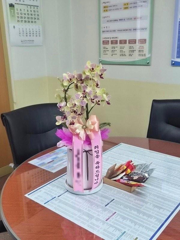 서양란 실제 배송 완료 사진 4