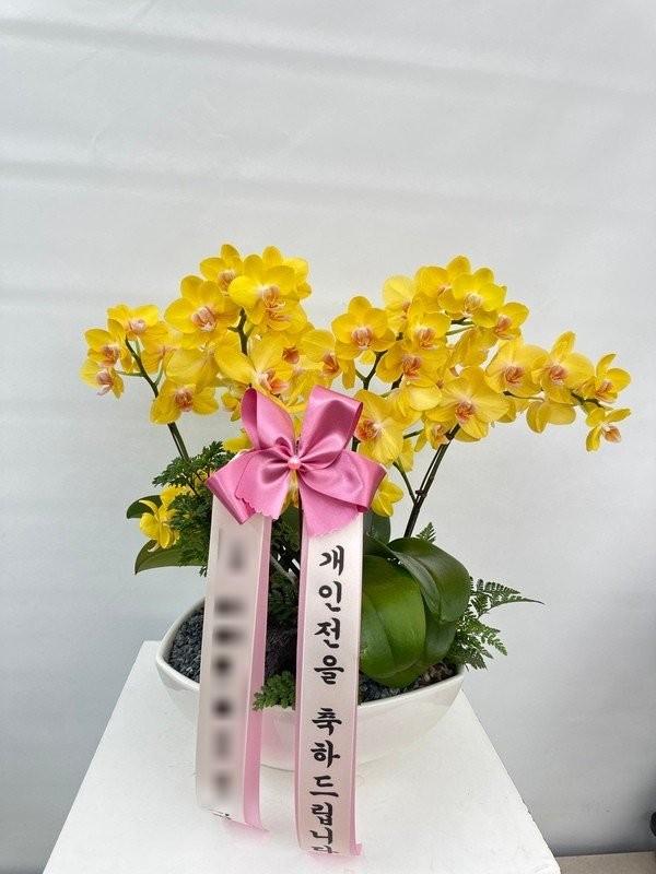 서울 종로구에 배송 완료된 서양란 실제 사진