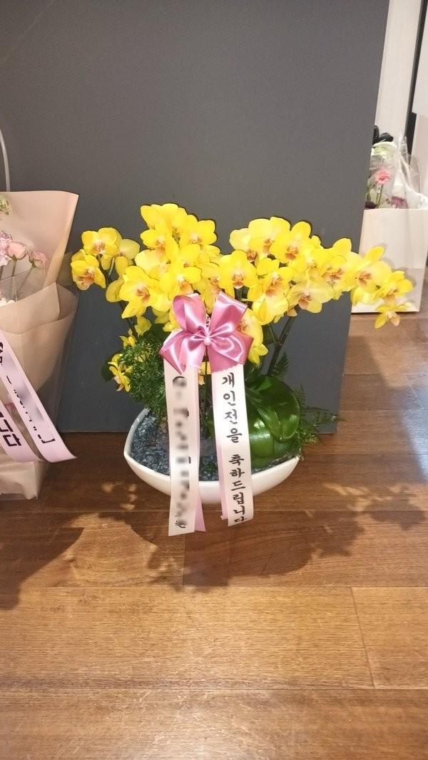 서울 종로구에 배송 완료된 서양란 실제 사진