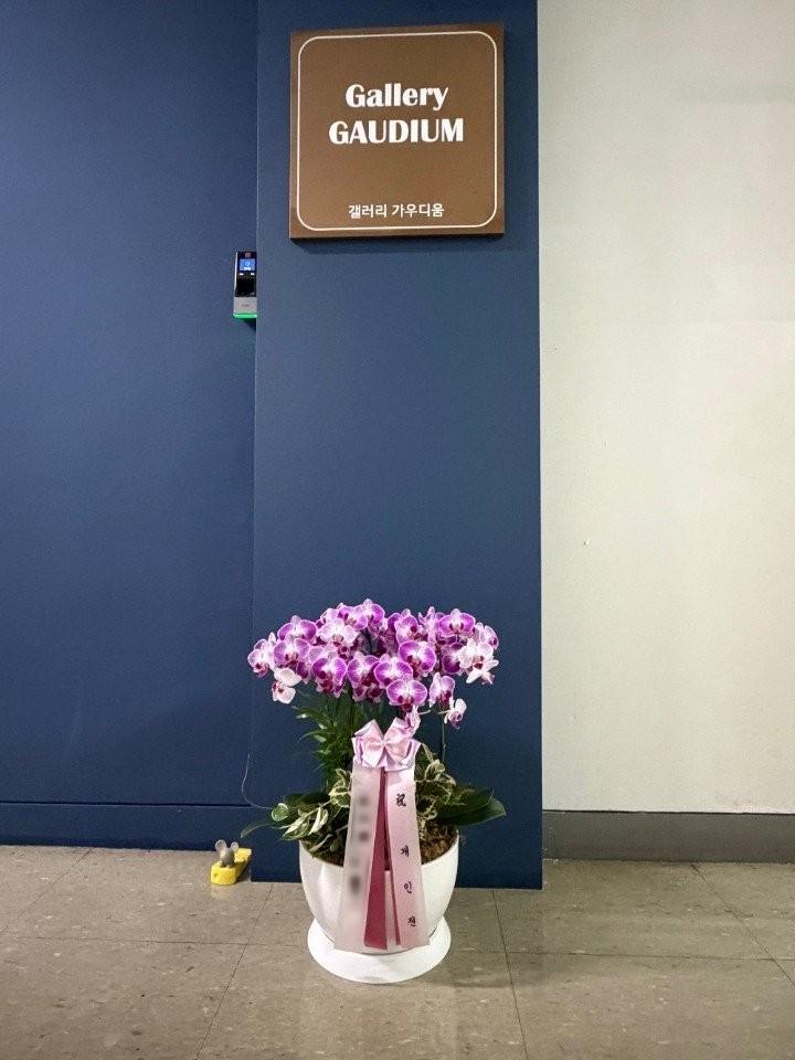 서울 성동구에 배송 완료된 서양란 실제 사진