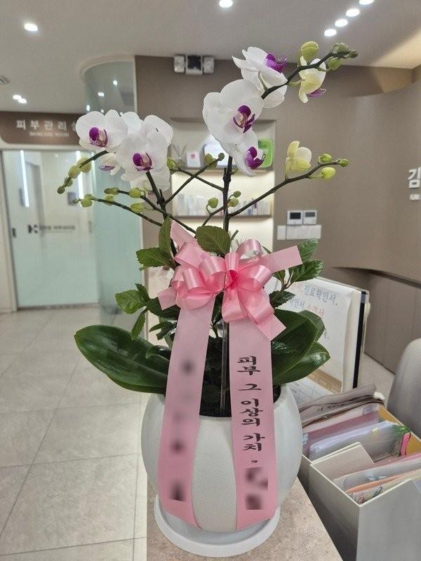 충북 청주시에 배송 완료된 서양란 실제 사진