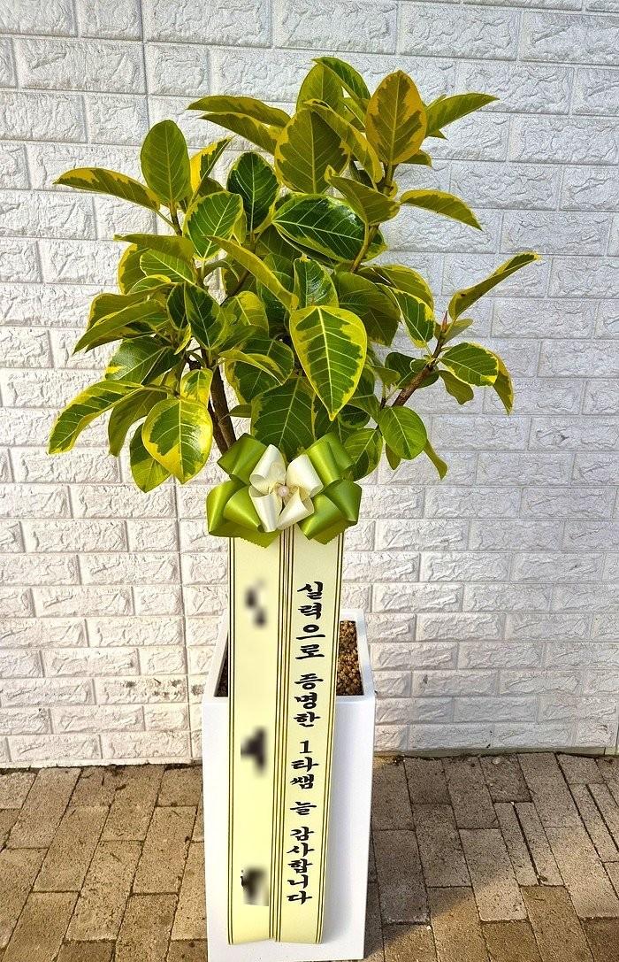 화환 실제 배송 완료 사진 2