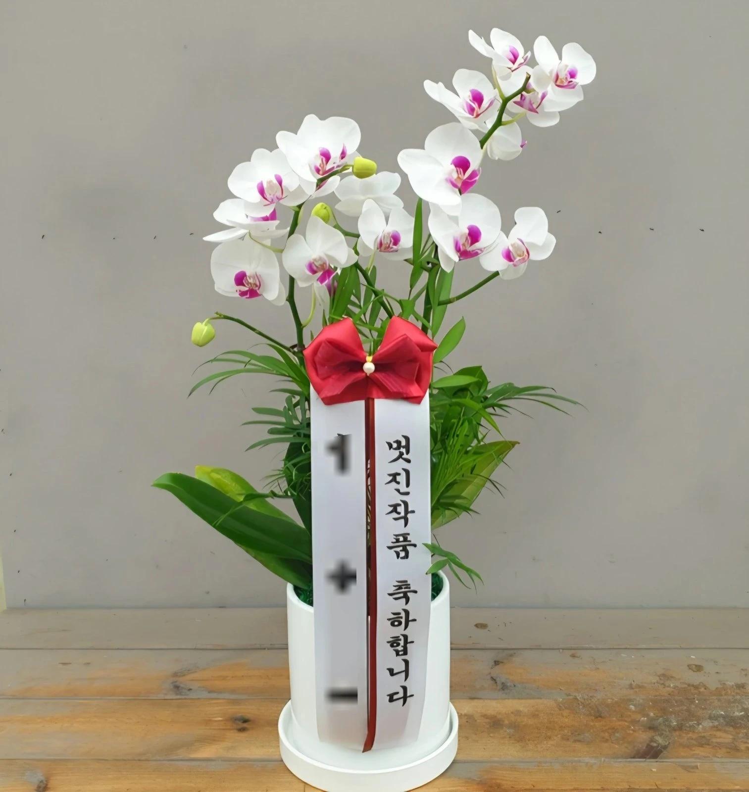 화이트 호접란 · 서울 종로구 · 2026년 9월 실제 배송 완료 사진 1