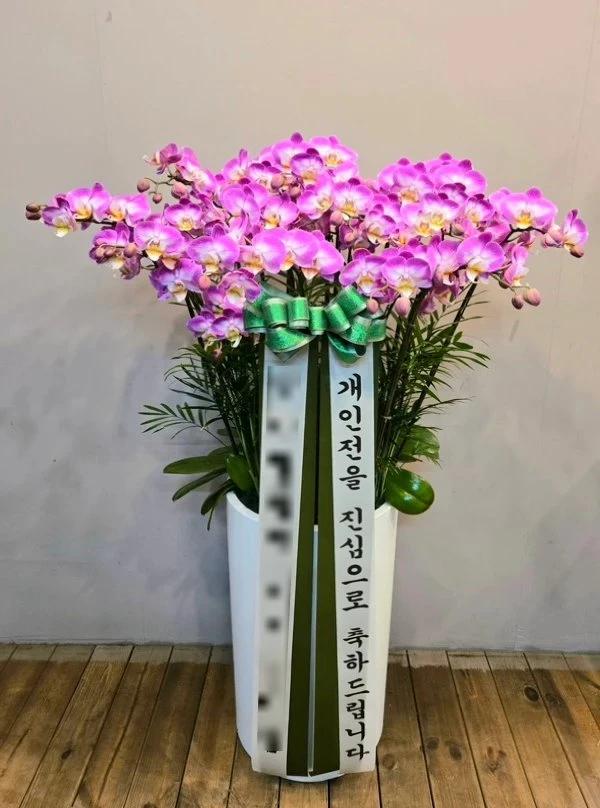 핑크 호접란 · 서울 중구 · 2026년 10월 실제 배송 완료 사진 1