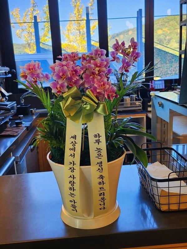 연핑크 호접란 · 경기 양평군 · 2026년 10월 실제 배송 완료 사진 8