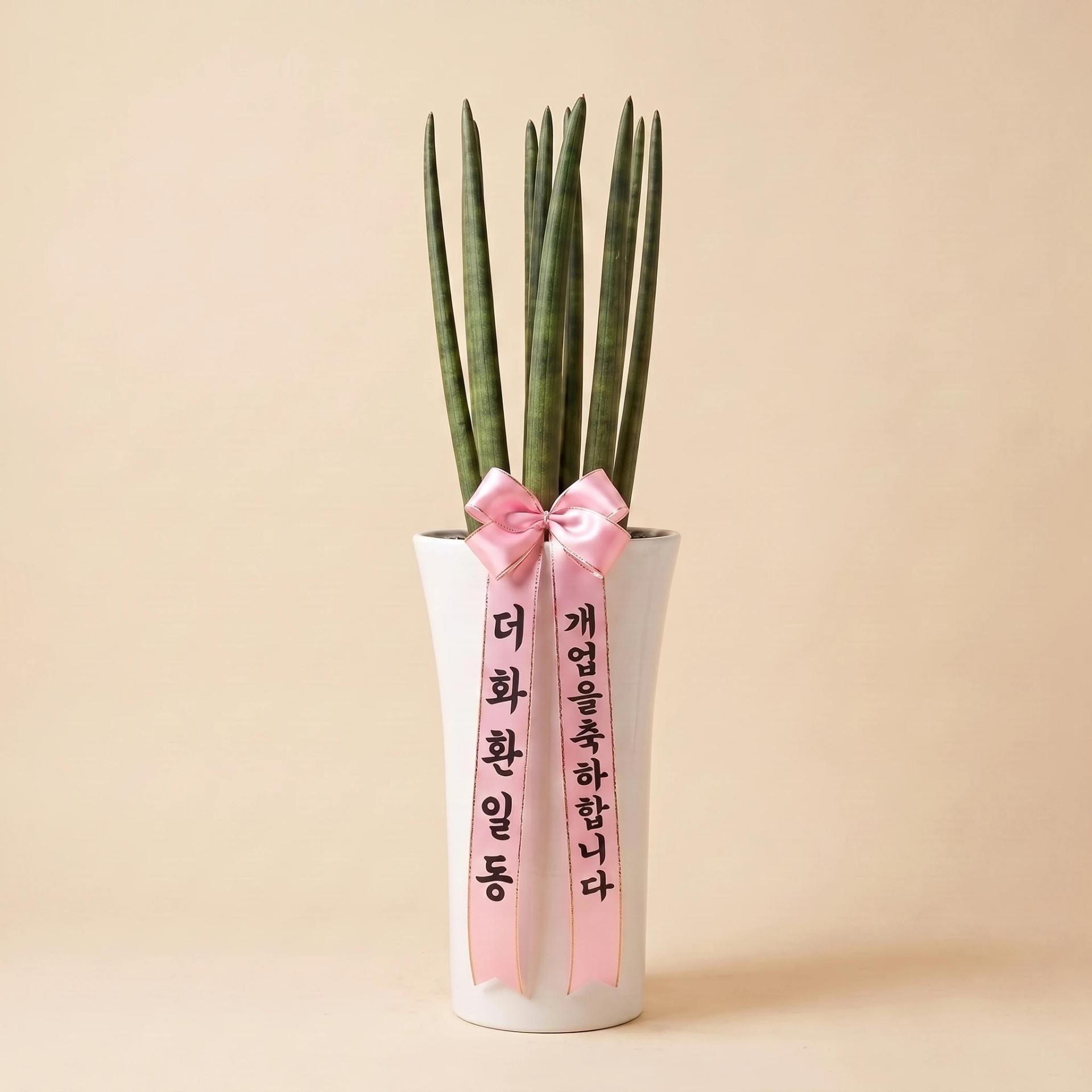 리본 샘플