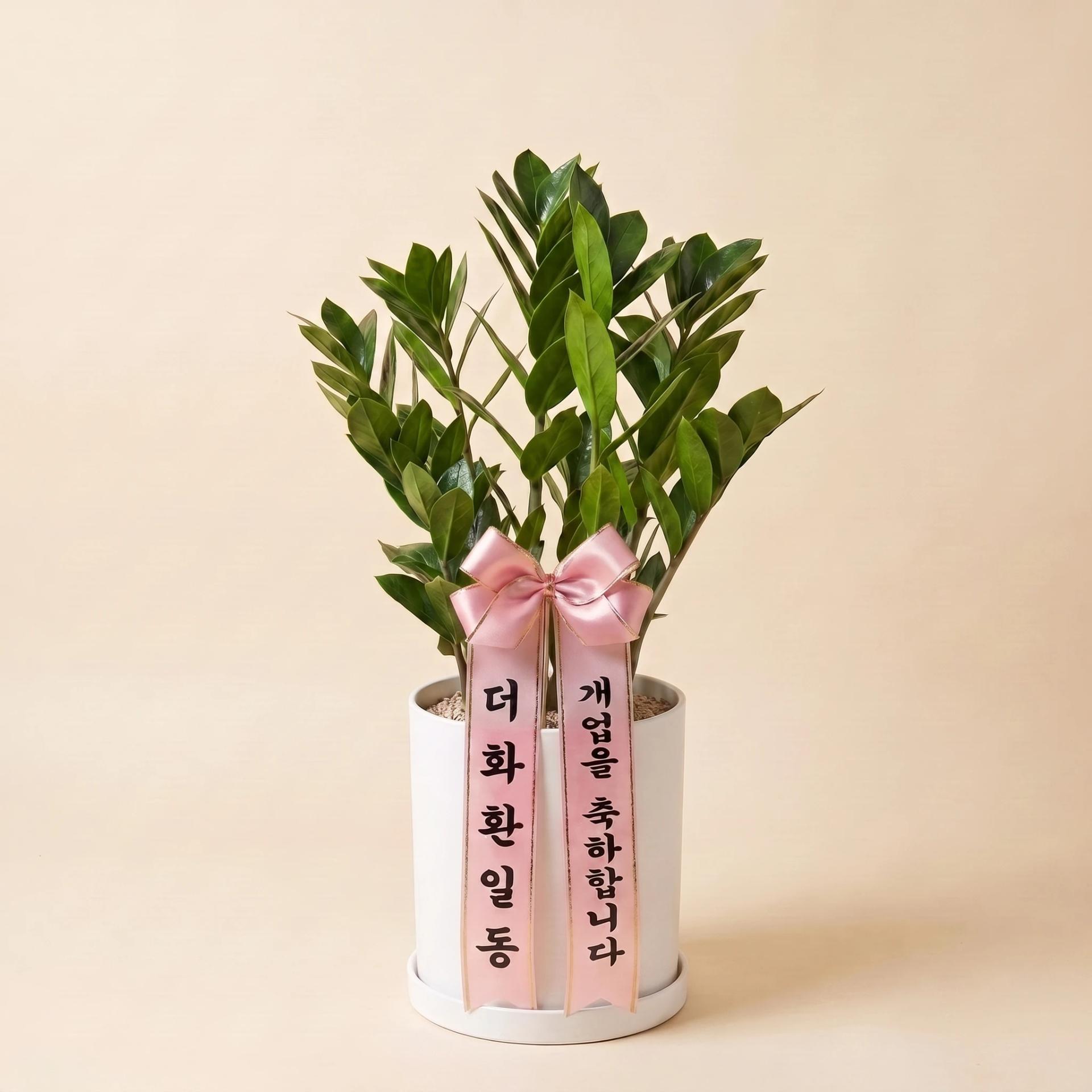 리본 샘플