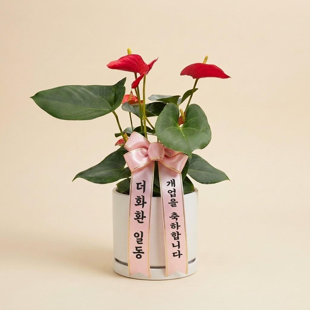 리본 샘플